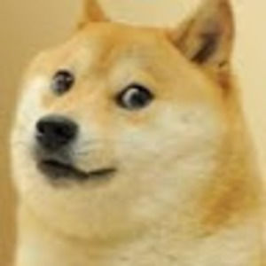 Meet your Posher, Hunter